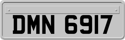 DMN6917