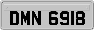 DMN6918