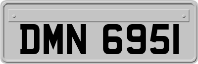 DMN6951