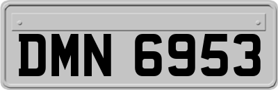 DMN6953