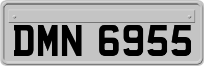 DMN6955