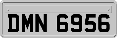 DMN6956