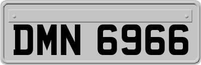 DMN6966