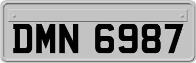 DMN6987