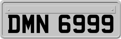 DMN6999
