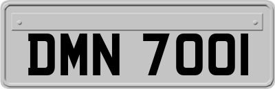 DMN7001