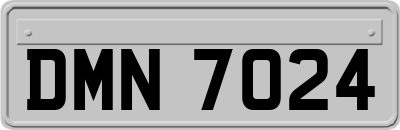 DMN7024