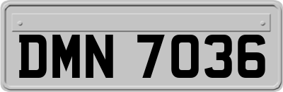 DMN7036