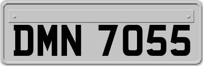 DMN7055