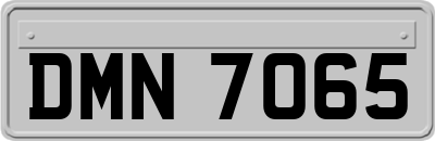 DMN7065