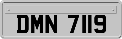DMN7119