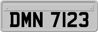 DMN7123