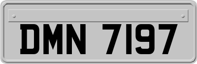 DMN7197
