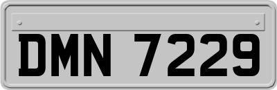DMN7229