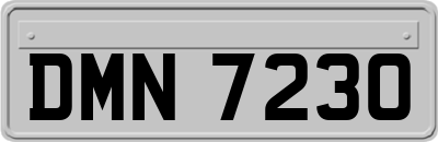 DMN7230