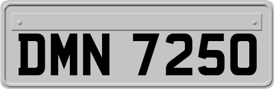 DMN7250