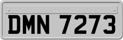 DMN7273