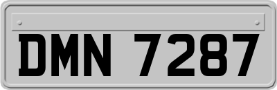 DMN7287