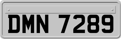 DMN7289