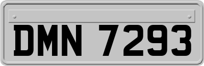 DMN7293