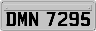 DMN7295