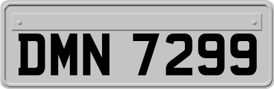 DMN7299