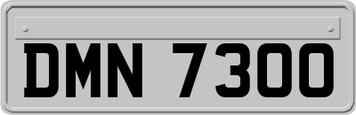 DMN7300