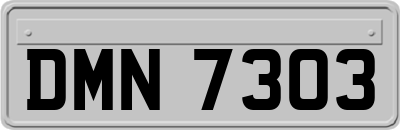 DMN7303