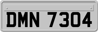 DMN7304