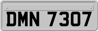 DMN7307