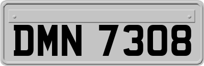 DMN7308