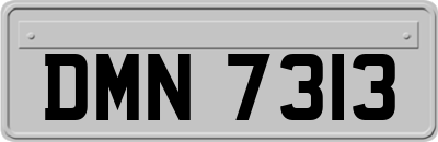 DMN7313