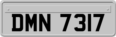 DMN7317