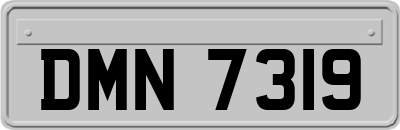 DMN7319