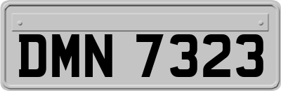 DMN7323