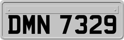 DMN7329