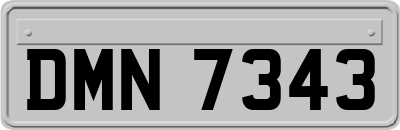 DMN7343