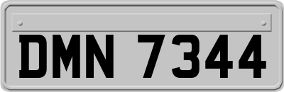 DMN7344