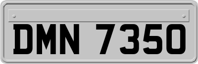 DMN7350