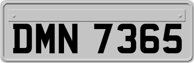 DMN7365
