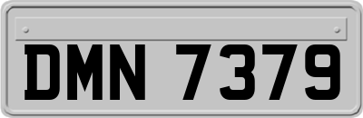 DMN7379