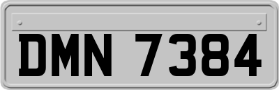 DMN7384