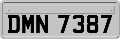 DMN7387