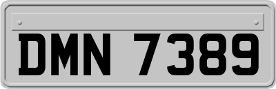 DMN7389