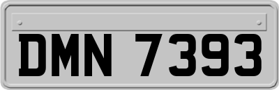 DMN7393