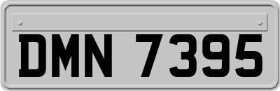 DMN7395