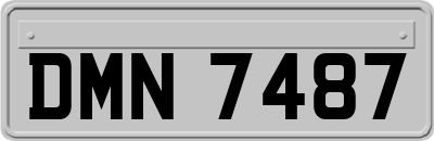 DMN7487