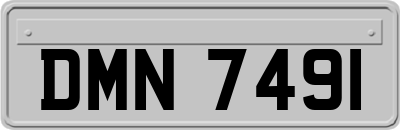 DMN7491