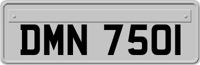DMN7501