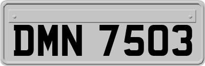 DMN7503